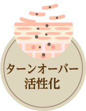 ターンオーバー活性化